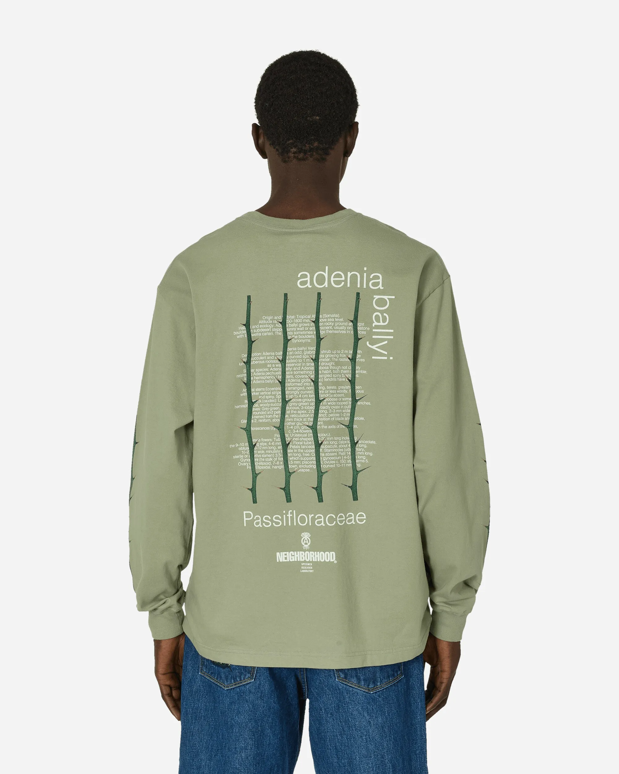 LS-1 Langarm T-Shirt Salbeigrün