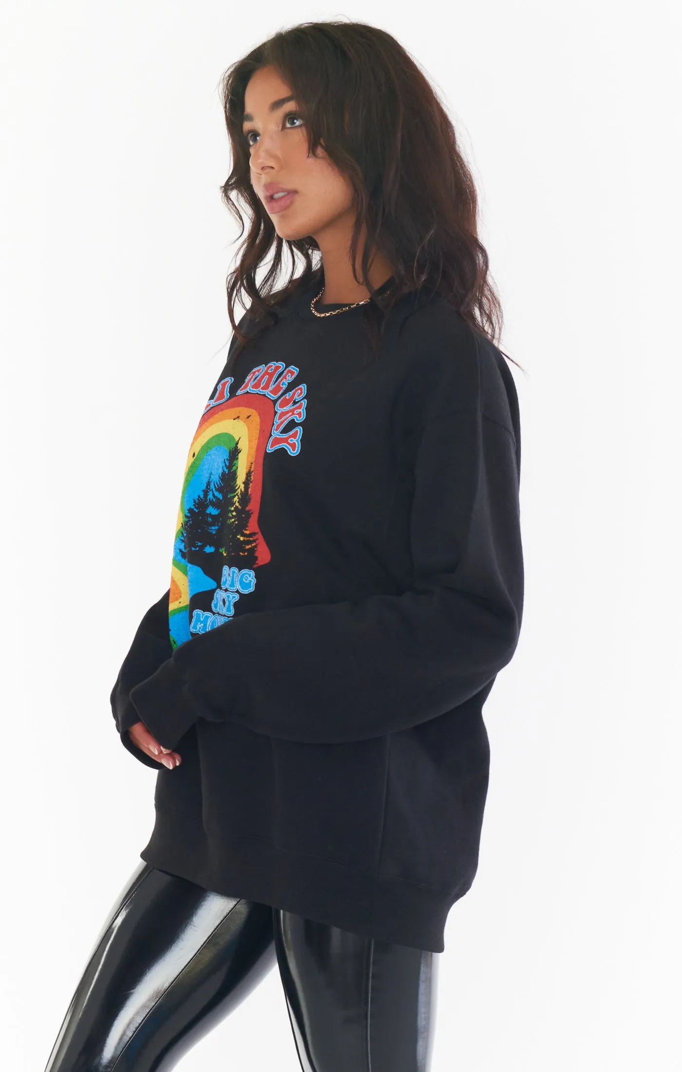 Stanley Sweatshirt ~ Ski The Sky Grafik