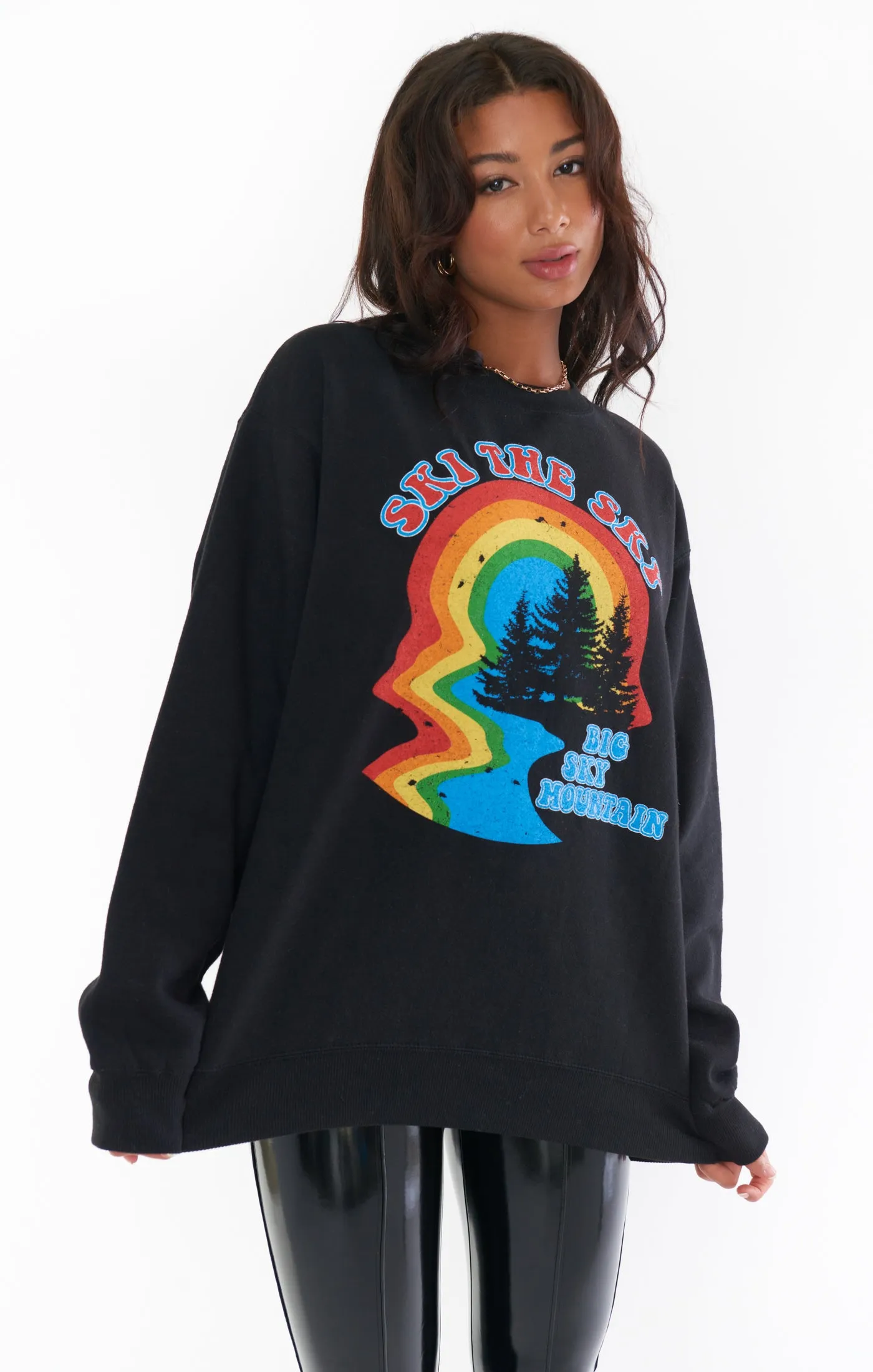 Stanley Sweatshirt ~ Ski The Sky Grafik