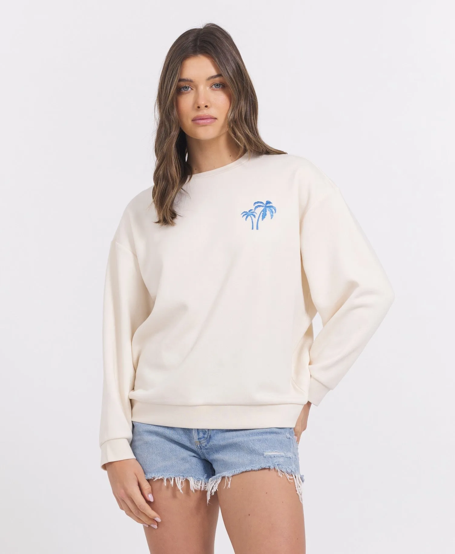 SURF WASH BESTICKTER CREWNECK