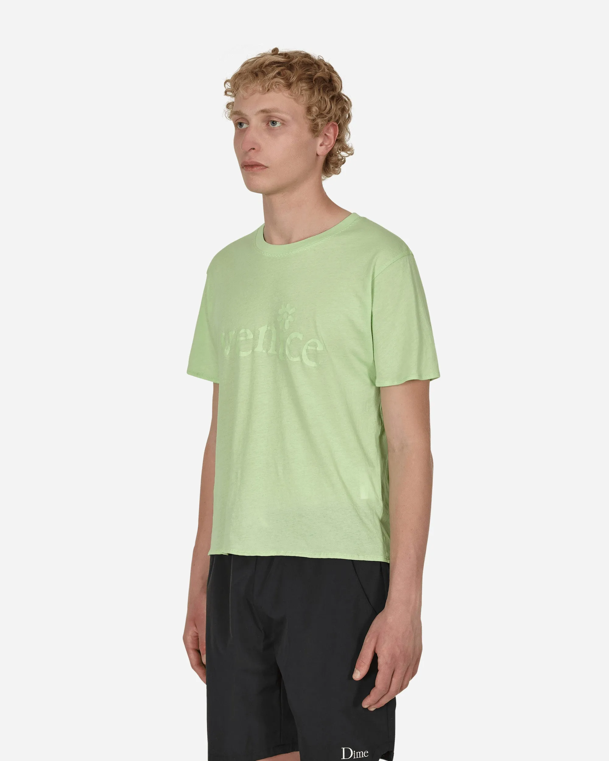 Venedig T-Shirt Grün